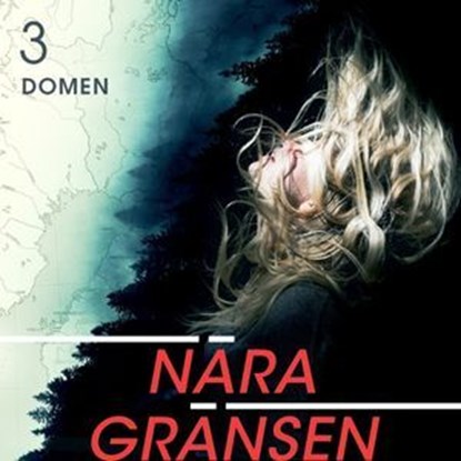 Nära gränsen – Domen, Daniel Åberg - Ebook - 9789180241939