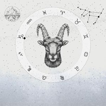 Stenbocken, Sofia Båth ; Hannah Pilfalk - Ebook - 9789180248280
