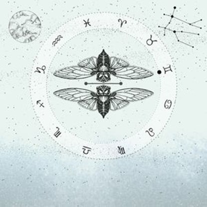 Tvillingen, Sofia Båth ; Hannah Pilfalk - Ebook - 9789180248358
