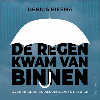 De regen kwam van binnen, Dennis Biesma - Luisterboek MP3 - 9789180517584