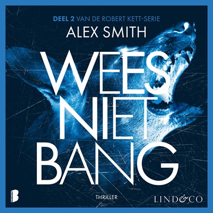 Wees niet bang, Alex Smith - Luisterboek MP3 - 9789181121216