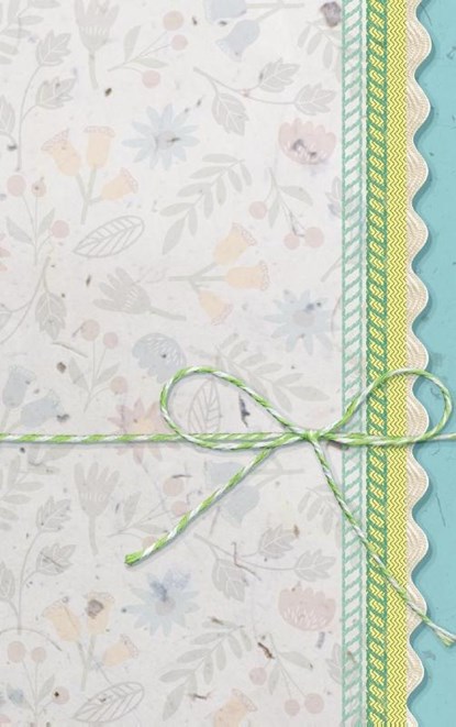 Notebook, Faith V Summers - Gebonden - 9789188385352