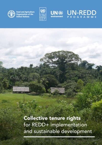 Collective tenure rights for REDD+ implementation and sustainable development, Amanda Bradley ; Food and Agriculture Organization ; Serena Fortuna - Paperback - 9789251340158