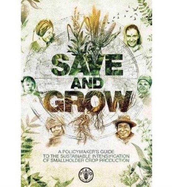 Save and Grow, Arabic Edition