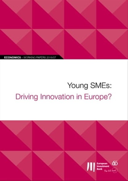 EIB Working Papers 2018/07 - Young SMEs: Driving Innovation in Europe?, niet bekend - Ebook - 9789286138256