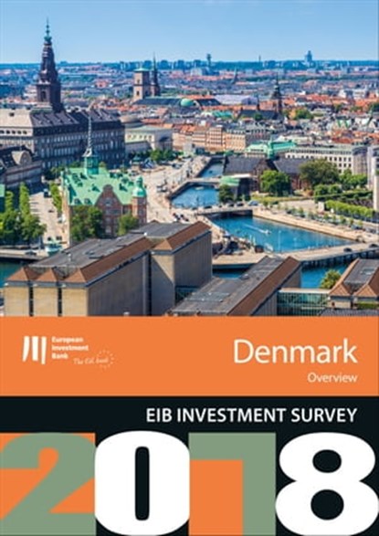 EIB Investment Survey 2018 - Denmark overview, niet bekend - Ebook - 9789286139680
