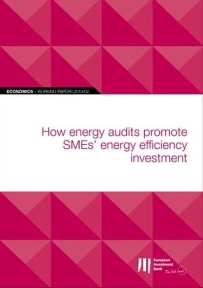 EIB Working Papers 2019/02 - How energy audits promote SMEs' energy efficiency investment, niet bekend - Ebook - 9789286142277