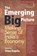 The Emerging Big Picture, Uma Kapila - Gebonden - 9789332701335