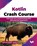 Kotlin Crash Course, Elena Van Engelen - Maslova - Paperback - 9789355516305