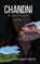 Chandni (A Story Untold), Subir Nandi - Paperback - 9789357414432