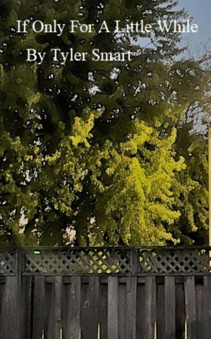 If Only for a Little While, Tyler Smart - Paperback - 9789357615167