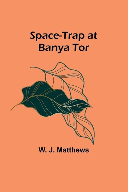 Space-Trap at Banya Tor, W. J. Matthews - Paperback - 9789361475733