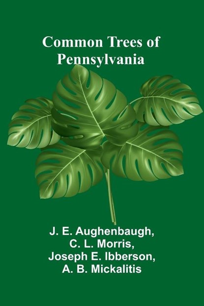 Common Trees Of Pennsylvania, J. E. Aughenbaugh ; Joseph E. Ibberson - Paperback - 9789369052776