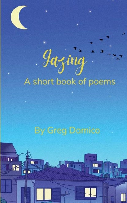 Gazing, Greg Damico - Paperback - 9789369534111