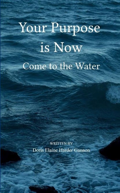 Your Purpose is Now, Doris Elaine Harder Gannon - Paperback - 9789371560702