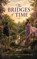 The Bridges of Time, Meera Shivashankar - Paperback - 9789377521714