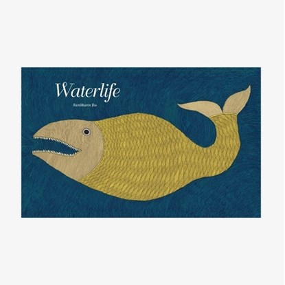 WaterLife - Handmade, Jha Rambharos - Gebonden - 9789380340135