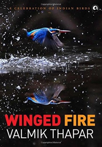 Winged Fire, Valmik Thapar - Gebonden - 9789383064694