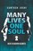 Many Lives One Soul, JOSHI,  Santosh - Paperback - 9789385492150