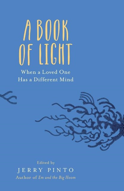 A Book of Light, Jerry Pinto - Paperback - 9789386050205