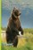 Artificial Bear Optimization (ABO), P. Mary Jeyanthi - Paperback - 9789387862654