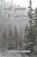 soft pine whispers, T Kilgore Splake - Paperback - 9789395224390
