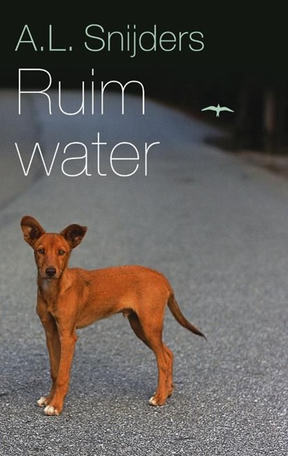 Ruim water, A.L. Snijders - Ebook - 9789400403345