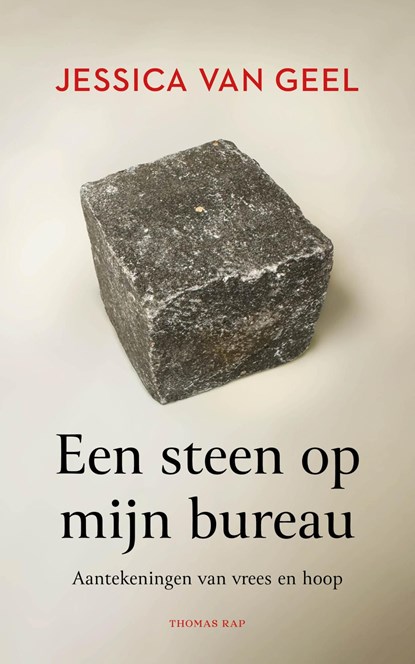 Een steen op mijn bureau, Jessica van Geel - Ebook - 9789400412842