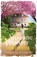 Lentevuur, Suzanne Vermeer - Paperback - 9789400511781
