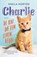 Charlie, de kat die een leven redde, Sheila Norton - Paperback - 9789400512757