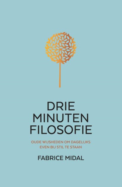 Drie minuten filosofie, Fabrice Midal - Gebonden - 9789400513389