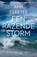 Een razende storm, Ann Cleeves - Paperback - 9789400519688