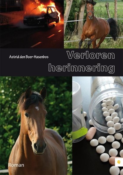 Verloren herinnering, Astrid den Boer-Hasenbos - Ebook - 9789400805989