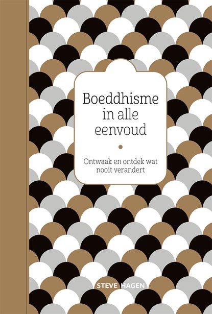 Boeddhisme in alle eenvoud, Steve Hagen - Ebook - 9789401302210