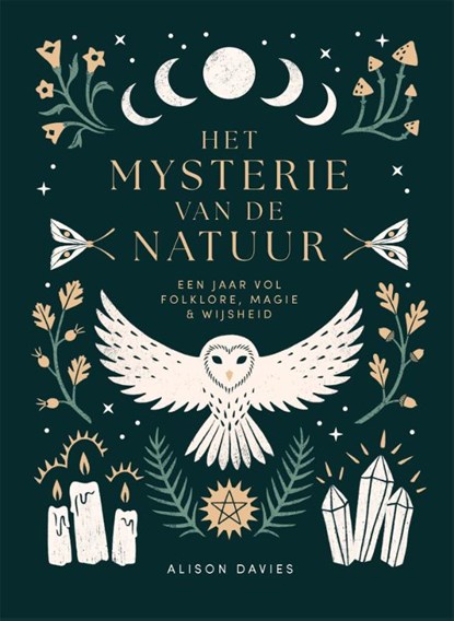 Het mysterie van de natuur, Alison Davies - Gebonden - 9789401306133