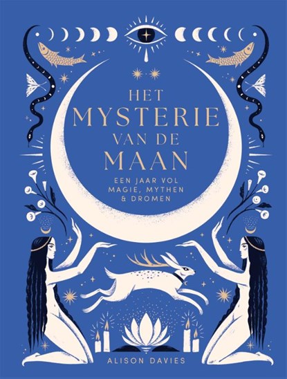 Het mysterie van de maan, Alison Davies - Gebonden - 9789401306140