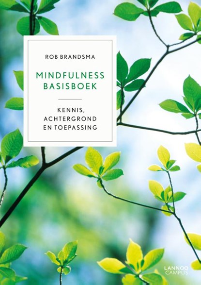 Mindfulness basisboek, Rob Brandsma - Gebonden - 9789401400497