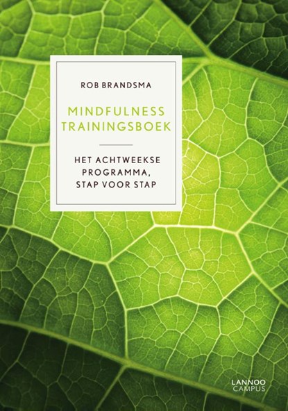 Mindfulness trainingsboek, Rob Brandsma - Gebonden - 9789401406284
