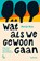 Wat als we gewoon gaan, Merijn Ruis - Paperback - 9789401420532