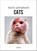 Cats, Irene Schampaert - Paperback - 9789401436953