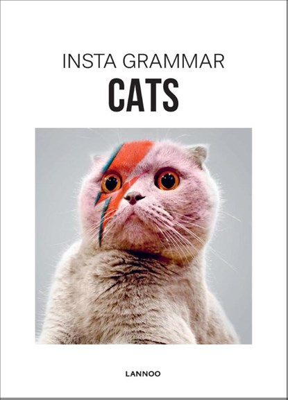 Cats, Irene Schampaert - Paperback - 9789401436953