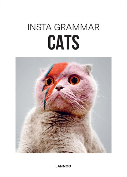 Cats, Irene Schampaert - Ebook - 9789401438926