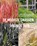 De mooiste grassen voor de tuin, Tinneke Provoost ; Laurence Machiels - Gebonden - 9789401439893