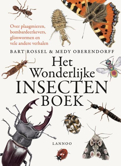 Het wonderlijke insectenboek, Bart Rossel ; Medy Oberendorff - Gebonden - 9789401441261