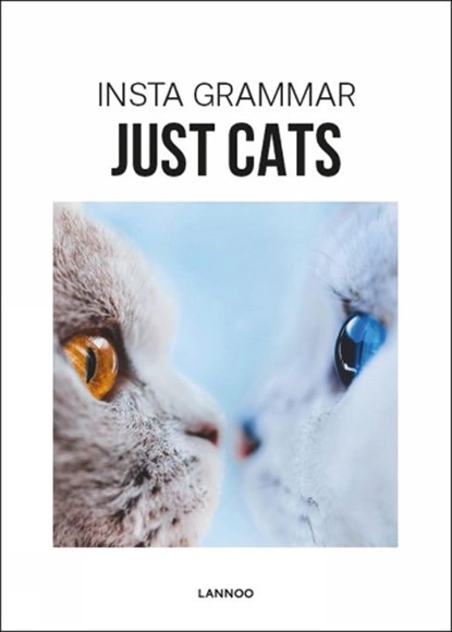 Insta Grammar - Just Cats, Irene Schampaert - Paperback - 9789401463485