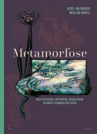 Metamorfose, Geert-Jan Roebers - Gebonden - 9789401471404