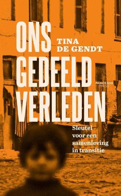 Ons gedeeld verleden, Tina De Gendt - Paperback - 9789401491389