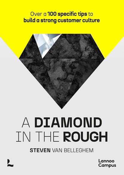 A diamond in the rough, Steven Van Belleghem - Ebook - 9789401495493