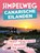 Canarische Eilanden, niet bekend - Paperback - 9789401498982