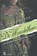 De Wandelhoer, Iny Lorentz - Paperback - 9789401601917